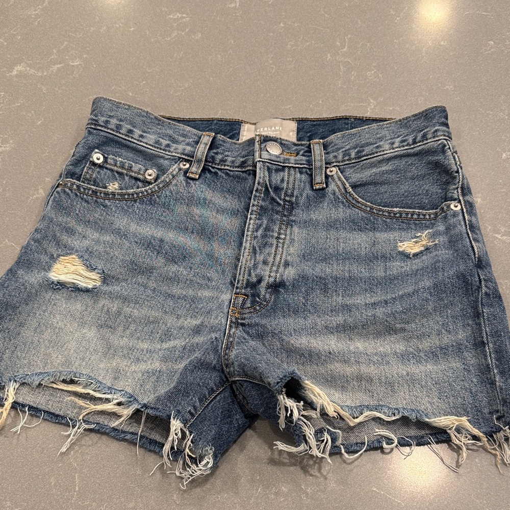 Everlane Blue Jean Distressed Shorts